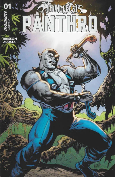 ThunderCats: Panthro