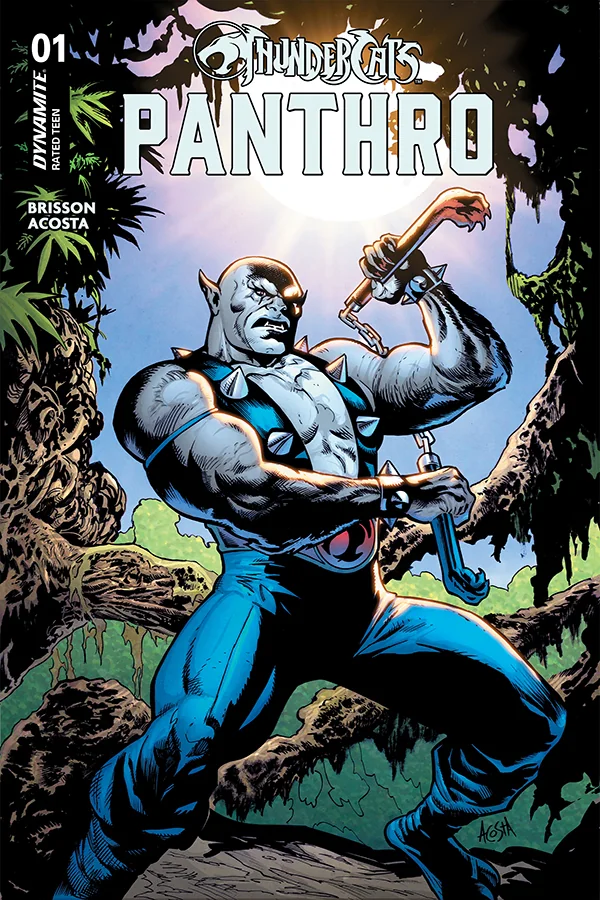 Cover for Thundercats Panthro #1