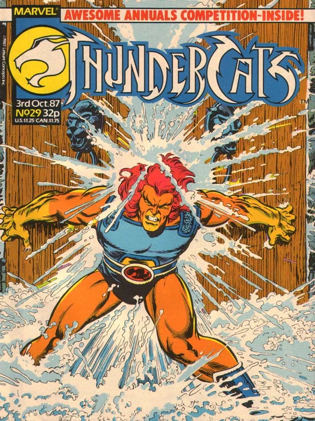 Cover for ThunderCats #29