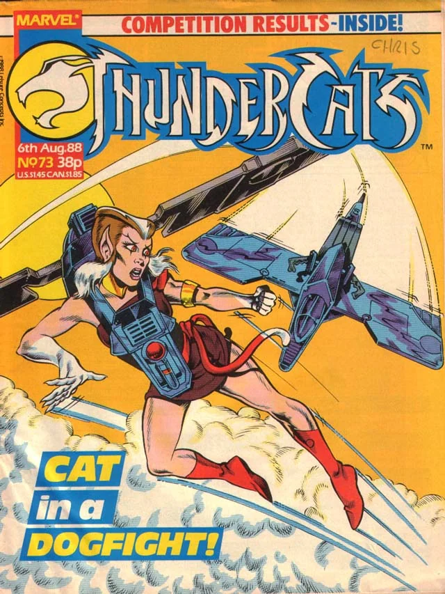 Cover for ThunderCats #73