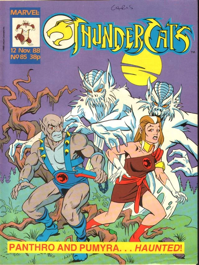 Cover for ThunderCats #85