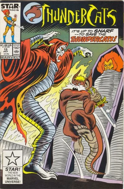 Cover for Thundercats #13
