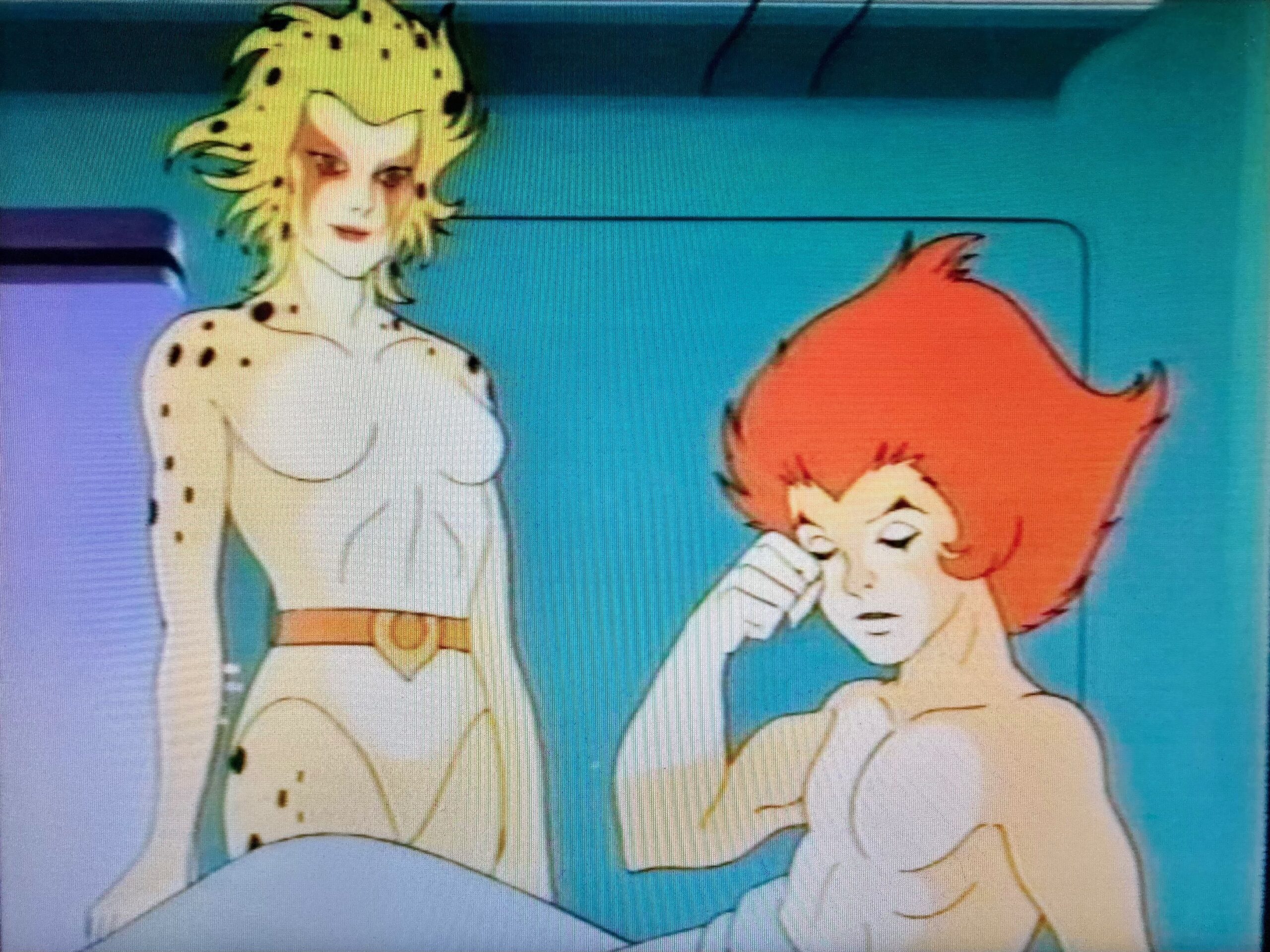 Cheetara & Young Lion-O