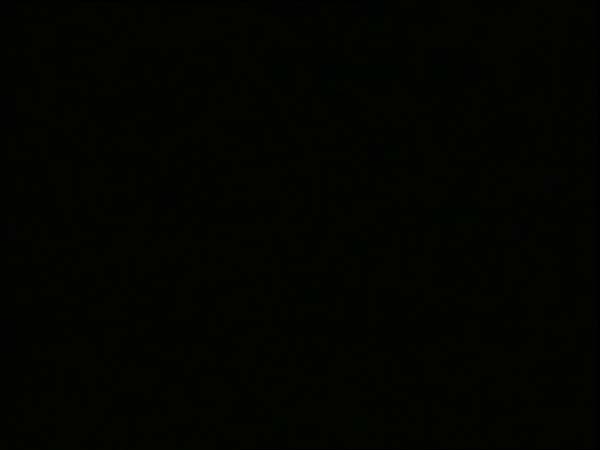ThunderCats intro image