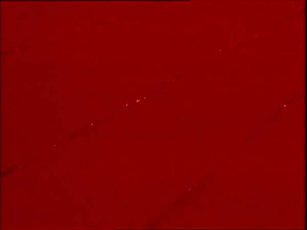 ThunderCats intro image