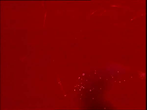 ThunderCats intro image