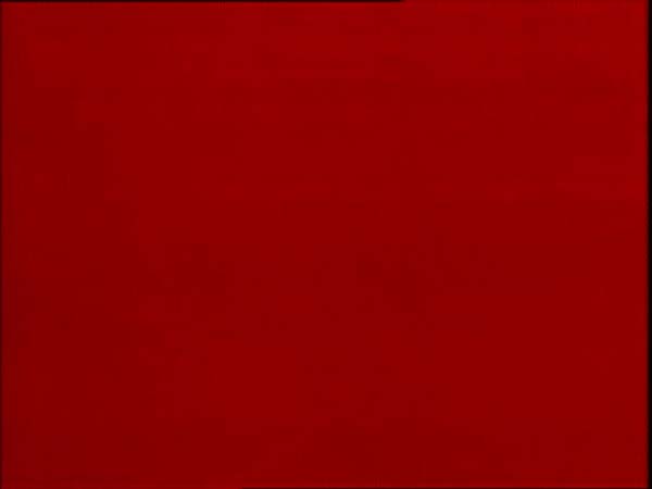 ThunderCats intro image