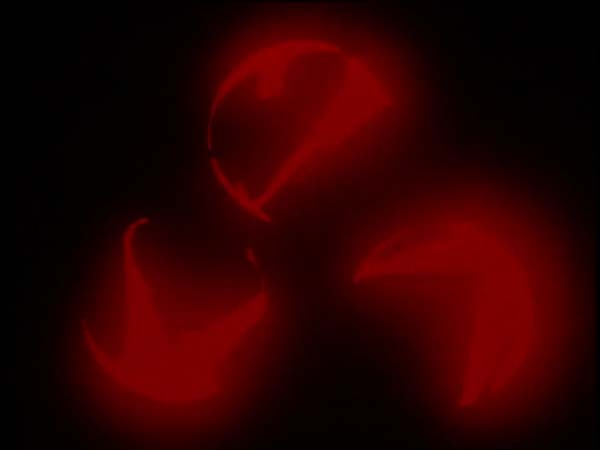 ThunderCats intro image