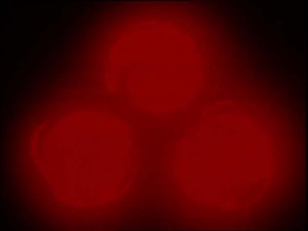 ThunderCats intro image