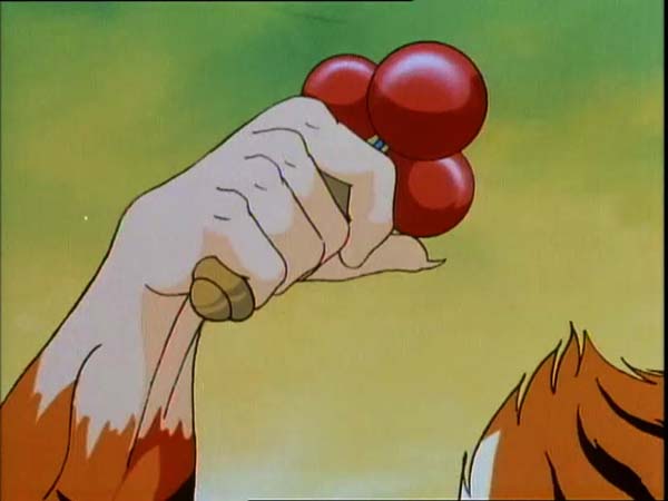 ThunderCats intro image