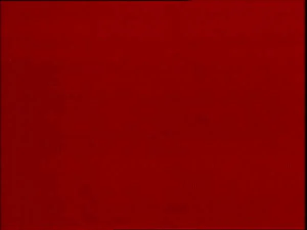 ThunderCats intro image