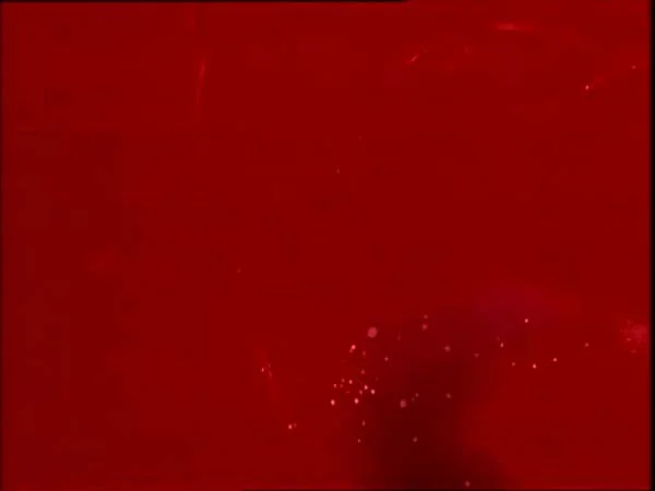 ThunderCats intro image
