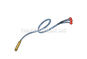 Tygra reference image 3