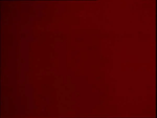 ThunderCats intro image