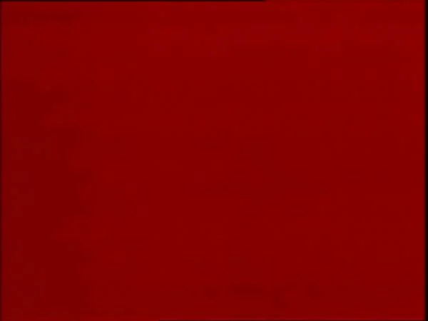 ThunderCats intro image