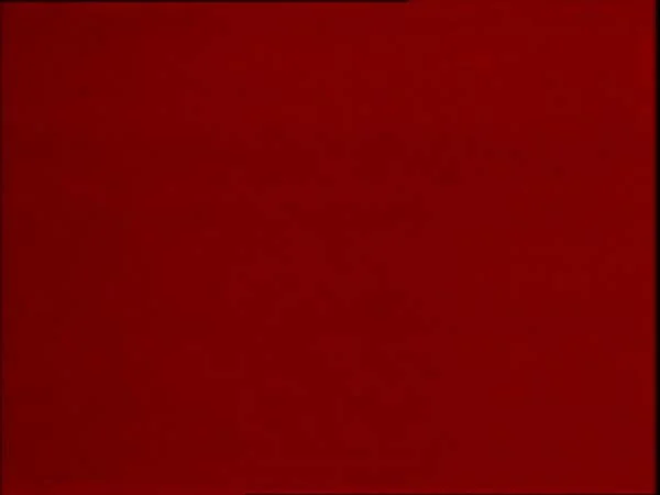 ThunderCats intro image