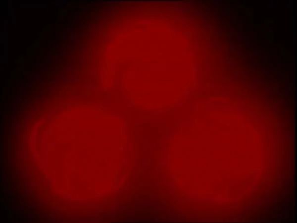 ThunderCats intro image