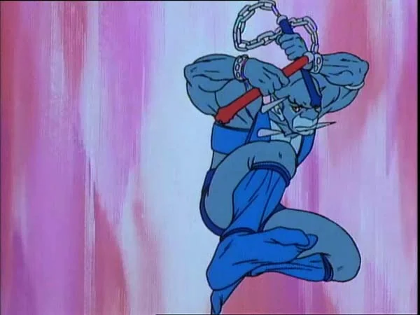 ThunderCats intro image