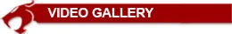 video gallery