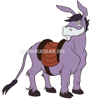 Wollo's Donkey