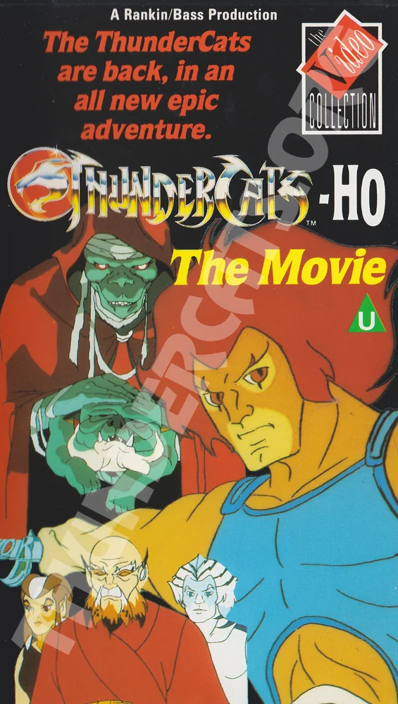 The Video Collection photo 15