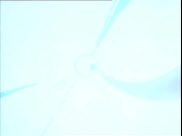 ThunderCats intro image