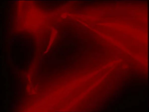 ThunderCats intro image