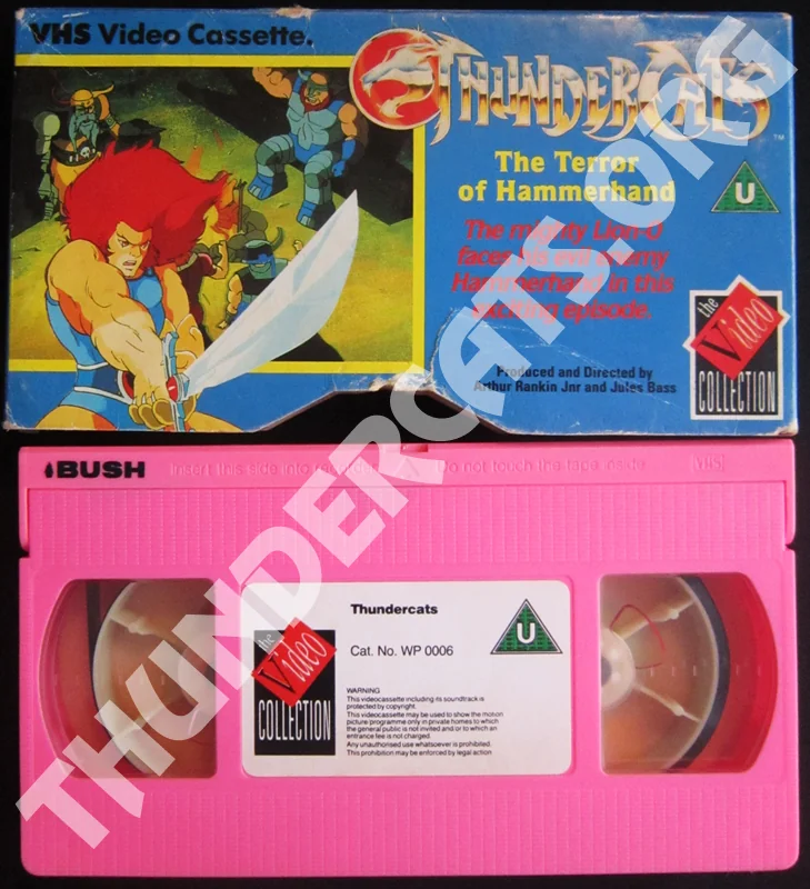 The Video Collection 19