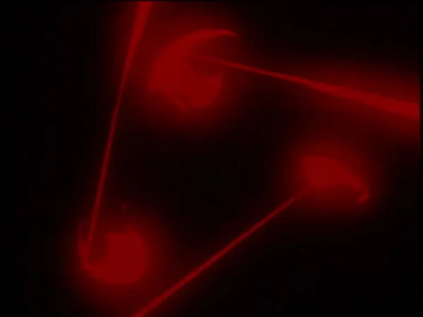 ThunderCats intro image