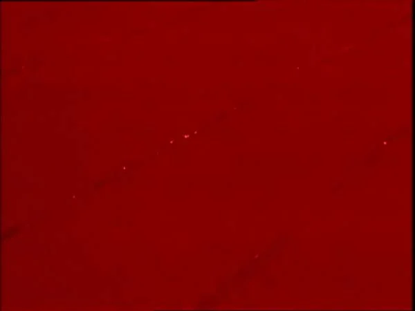 ThunderCats intro image