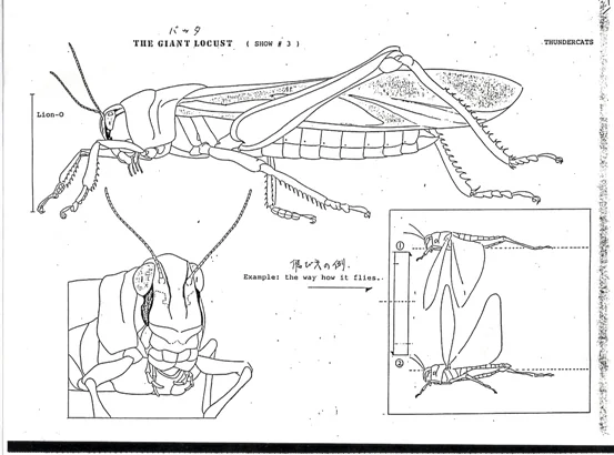 Guide Sheets