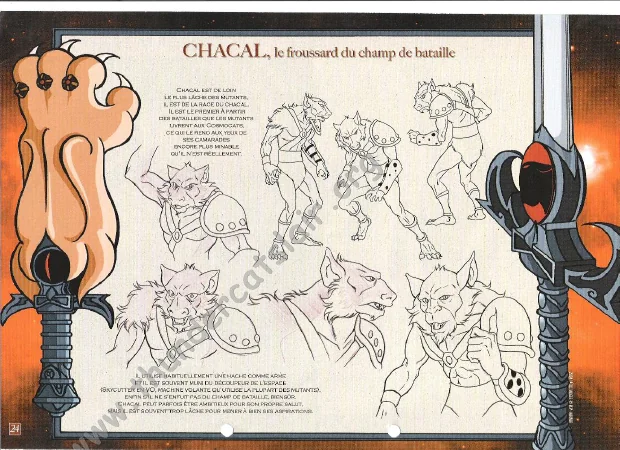 ThunderCats French Encyclopedia