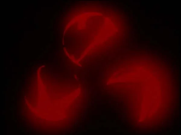 ThunderCats intro image