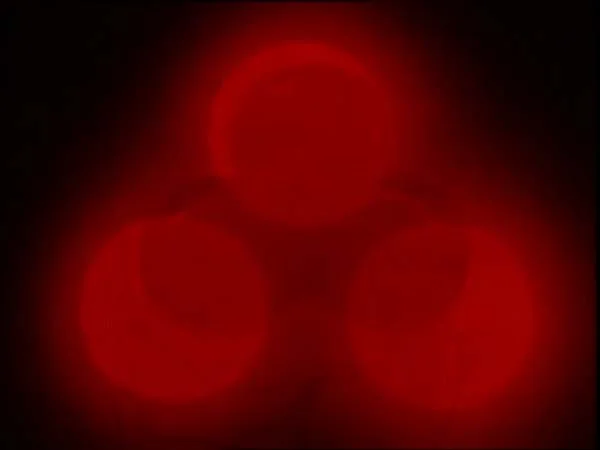 ThunderCats intro image