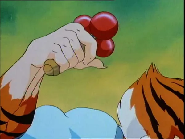 ThunderCats intro image