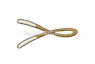 Pumyra reference image 3