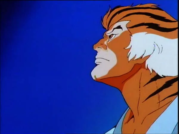 ThunderCats intro image