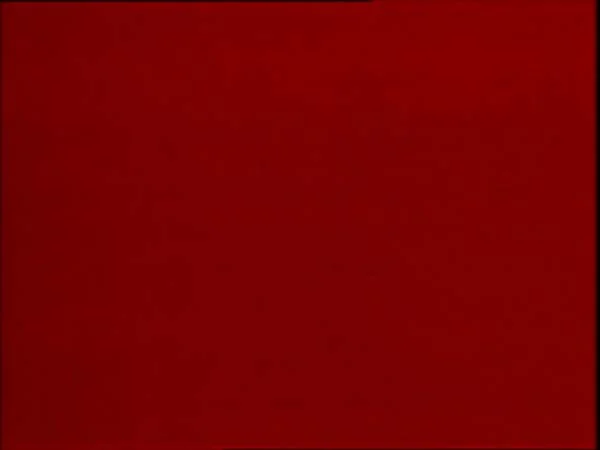 ThunderCats intro image