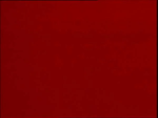 ThunderCats intro image