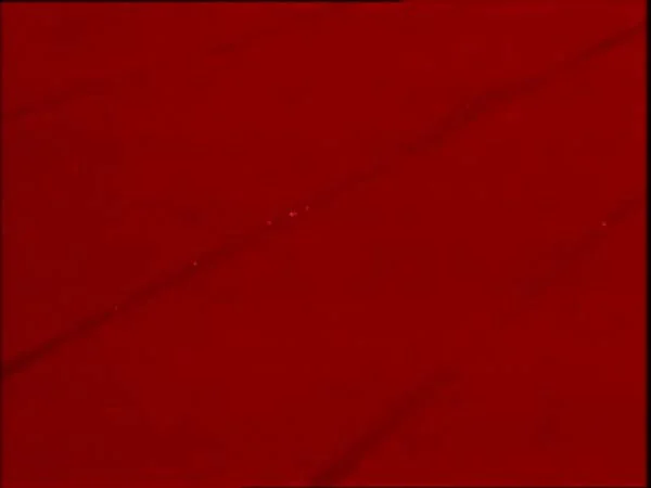 ThunderCats intro image