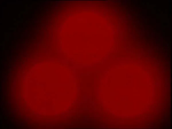 ThunderCats intro image