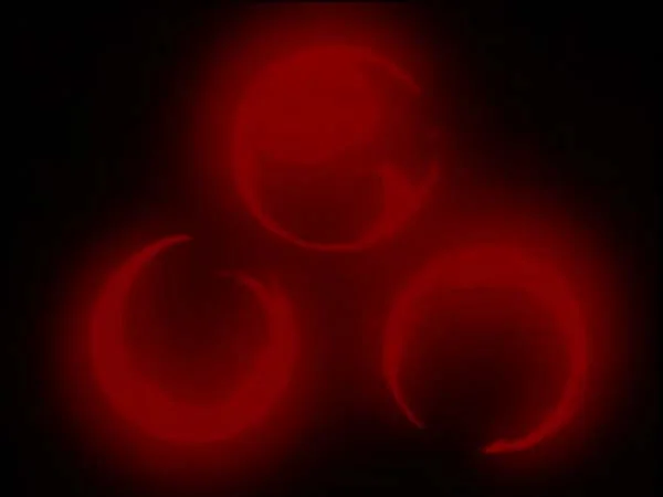 ThunderCats intro image