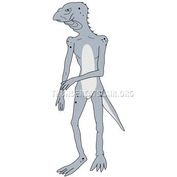 Lizard Cook
