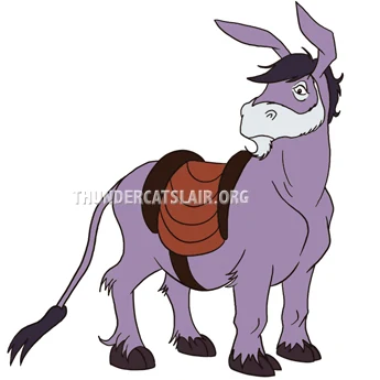 Wollo's Donkey